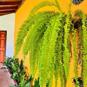 Breeze Of Paradise Bed & Breakfast